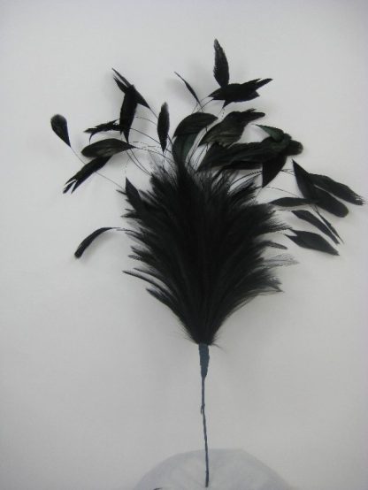 B1 LARGE HACKLE AND COQUE FEATHER MOUNT IN BLACK
