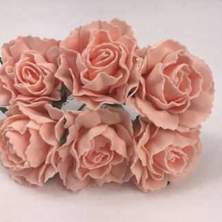 YF167 Carnations