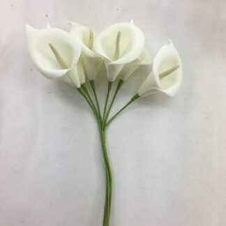 YF35 Quality Calla Lilies